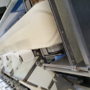 SCANVAEGT 12 STATION GRADING LINE