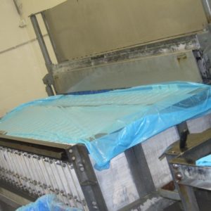 vertical plate freezers with plant