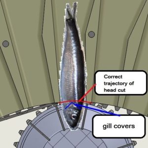 Nobbing_Line