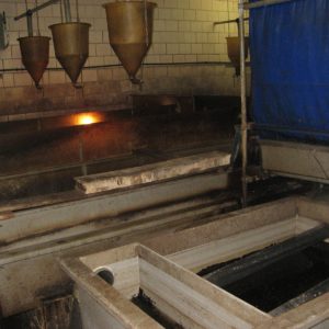 catfish farm 350 till 400 ton per year