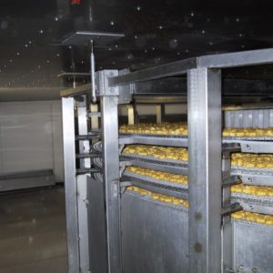 8 ton spiral freezer