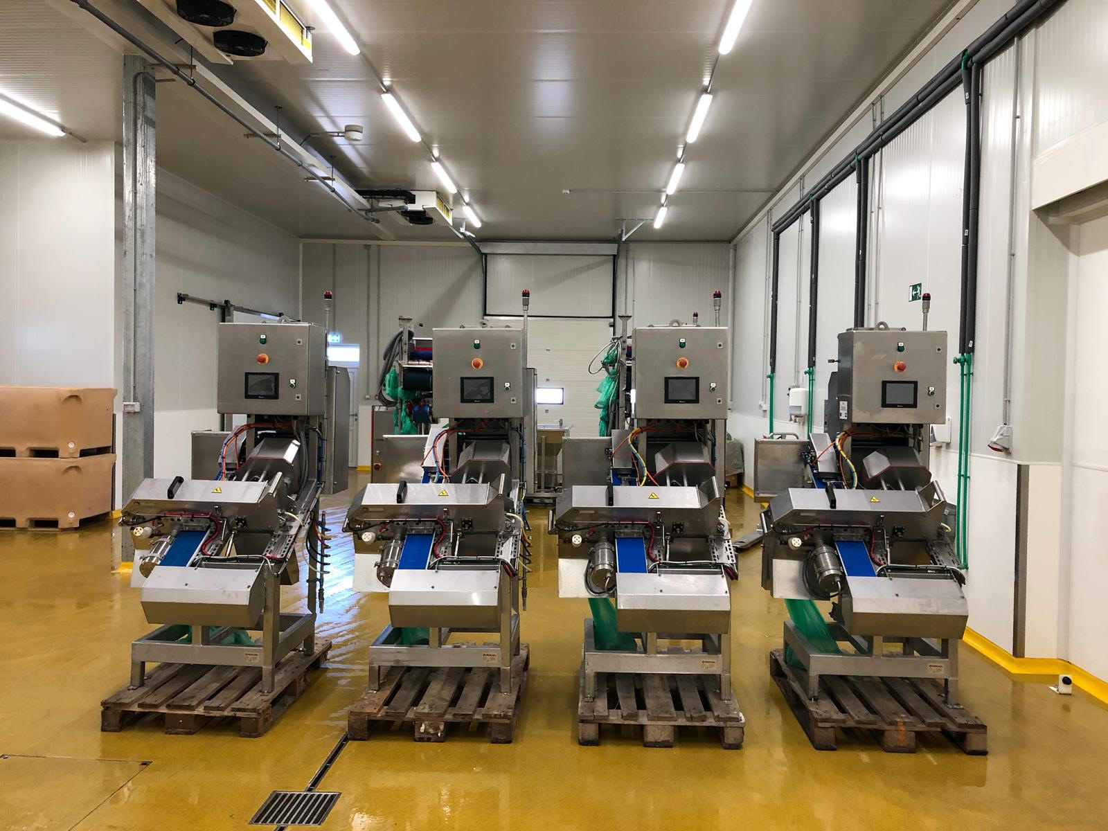 PERUZA auto nobbing line for Sardines, Herring, Anchovies, Mackerel, - Image 7