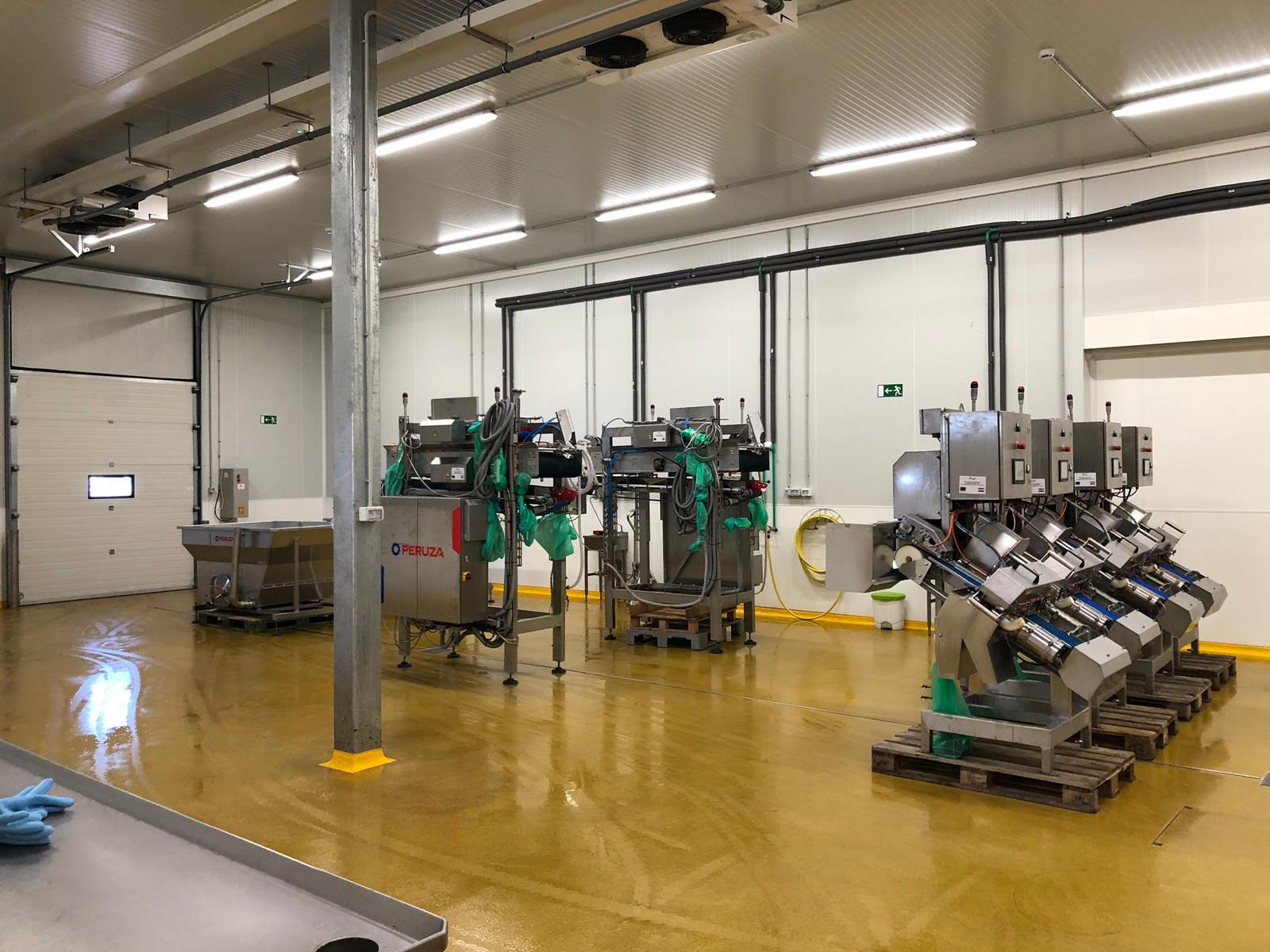 PERUZA auto nobbing line for Sardines, Herring, Anchovies, Mackerel, - Image 6